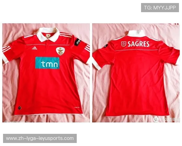 本菲卡对意甲球队比赛中的战绩数据对照